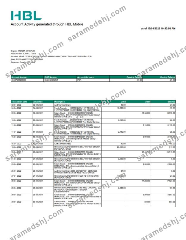 Pakistan HBL bank statement
